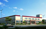 Company Profile